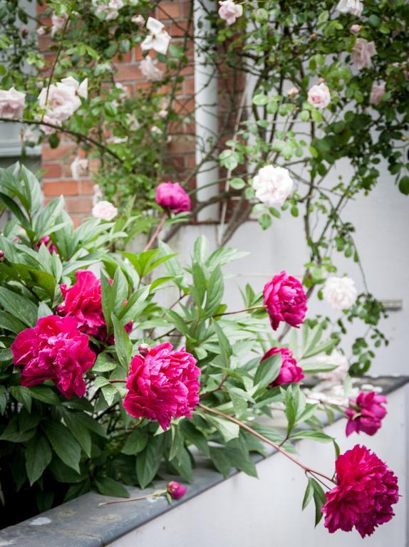 Moensberg Bed & Breakfast Brussels